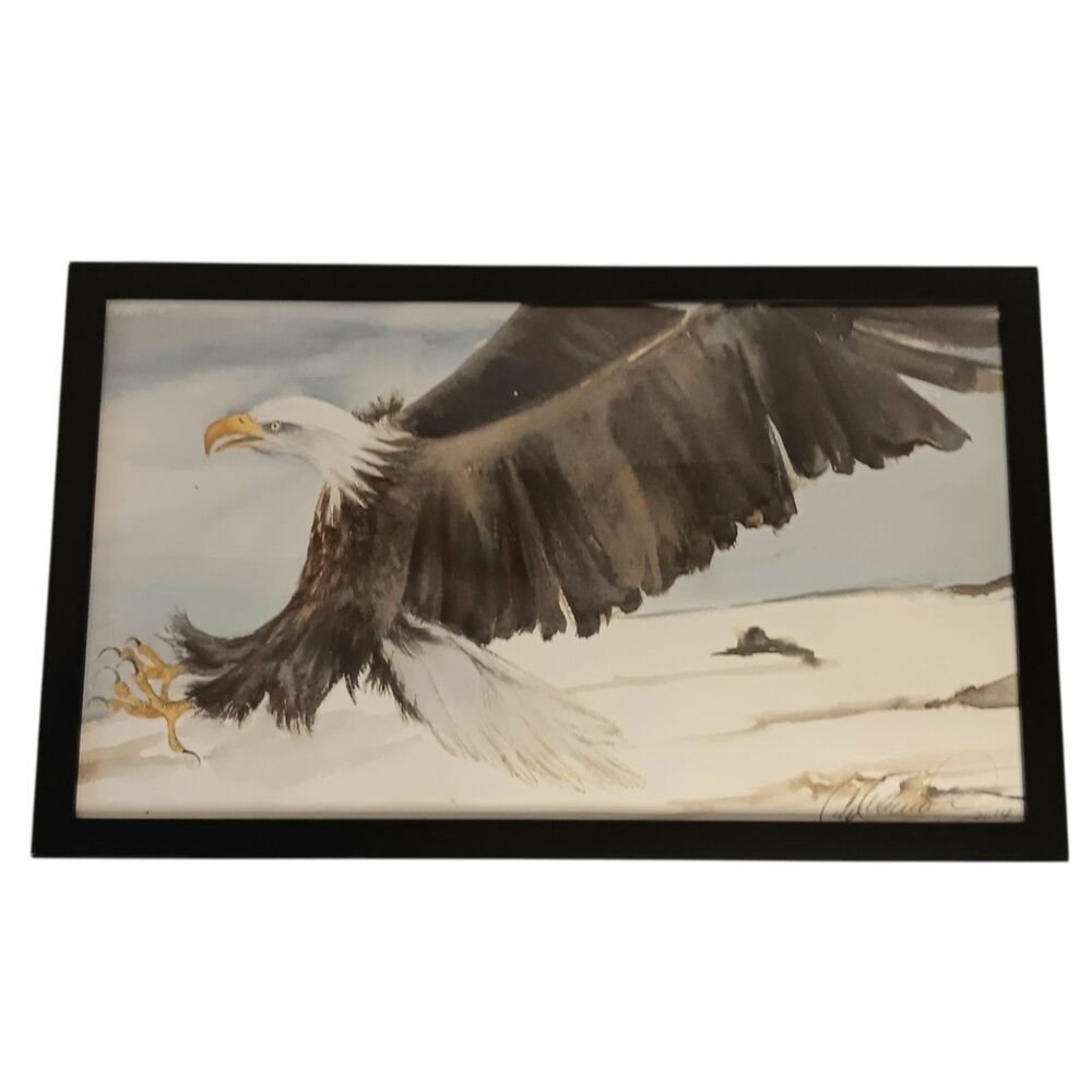 Original Painting Watercolor Bald Eagle Landing Signed Framed Wildlife Art 12x20